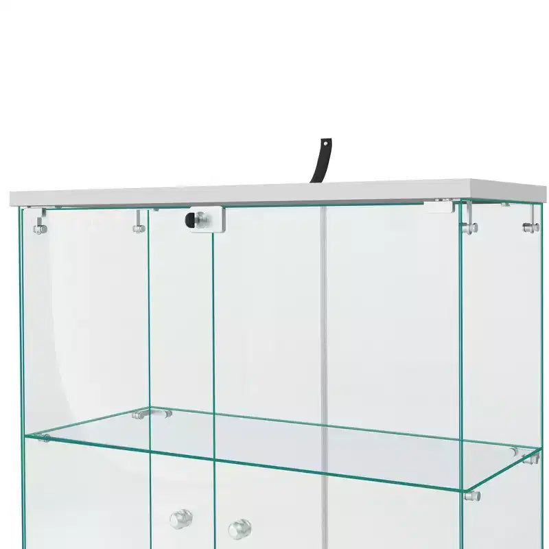 Vitrine en verre 64,5 X 32 avec serrure