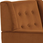 Lot de 2 fauteuils de salon en velours avec accoudoirs