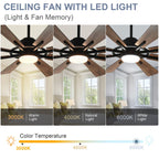 Ventilateur de plafond télécommandé avec lumières, grandes 8 pales en bois