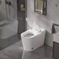 Toilettes intelligentes Dyonery, monobloc sans réservoir avec bouclier en mousse, couvercle à ouverture/fermeture automatique, bidet et séchoir chauffants, veilleuse LED, chasse d'eau automatique