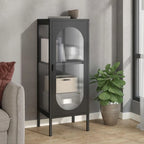 vidaXL Sideboard Black 15.7x13.8x41.3 Glass and Steel - 15.7 x 13.8 x 41.3