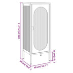 vidaXL Commode noire 40 x 35 x 105 cm en verre et acier - 40 x 35 x 105