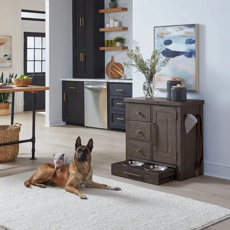 Mangeoire pour animaux de compagnie style ferme moderne avec rangement, tiroirs coulissants - 2 options de finition