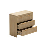Meuble de rangement 4 tiroirs en rotin, pour chambre, salon, salle à manger, couloirs, montage facile