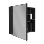 Armoire à pharmacie Viking, trois étagères intérieures, une porte, deux étagères extérieures, finition Wengé noir