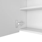 Armoire à pharmacie Viking, trois étagères intérieures, une porte, deux étagères extérieures, finition Wengé noir