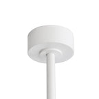 Ventilateur de plafond de 65 pouces à 8 pales noires avec lumière LED et télécommande