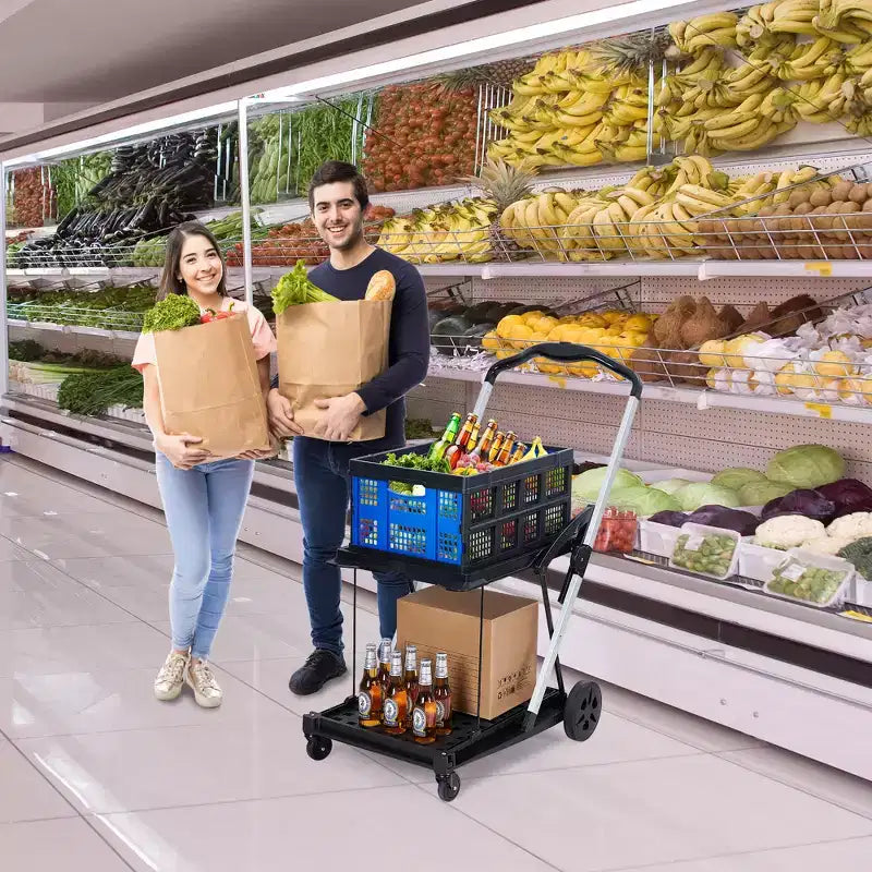 Chariots de courses pliants à 2 niveaux pour l'épicerie, capacité de 90 kg, chariot d'épicerie pliable portable avec roues et caisse amovible pour centre commercial, bleu