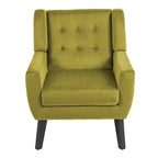 Lot de 2 fauteuils de salon en velours avec accoudoirs