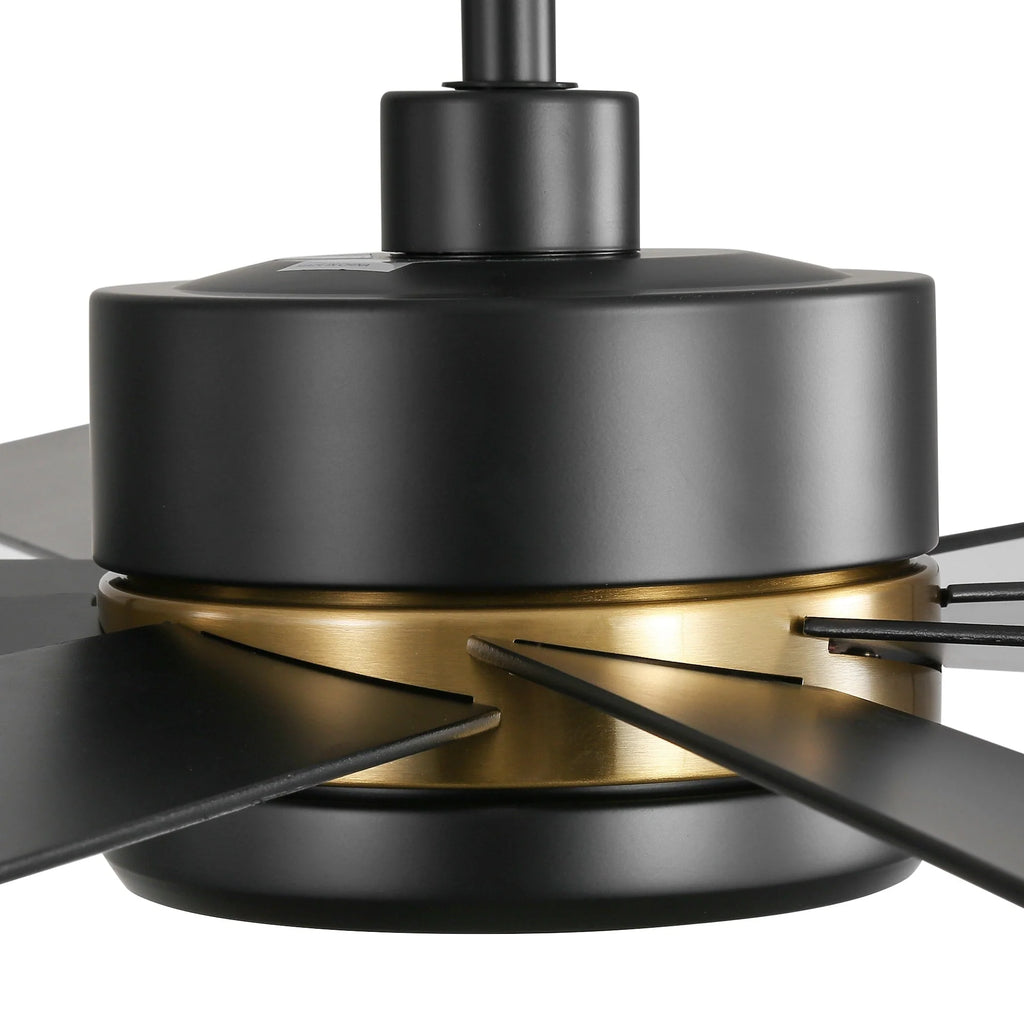 Ventilateur de plafond de 65 pouces à 8 pales noires avec lumière LED et télécommande