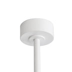 Ventilateur de plafond de 65 pouces à 8 pales noires avec lumière LED et télécommande